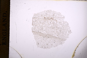 Plane Polarized, E5106