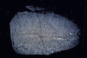 Cross Polarized, E5110