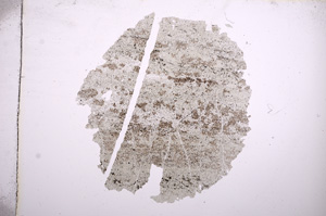 Plane Polarized, E5119