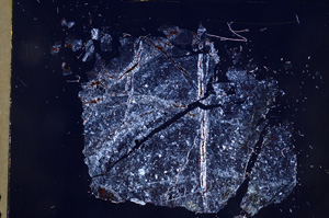 Cross Polarized, E5127