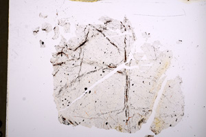 Plane Polarized, E5127