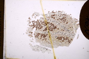 Plane Polarized, E5132