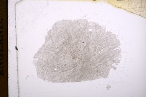 Plane Polarized, E5133