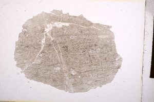 Plane Polarized, E5155