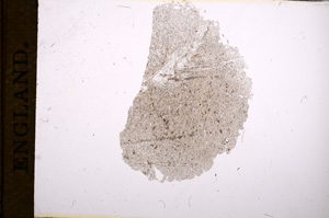 Plane Polarized, E5158