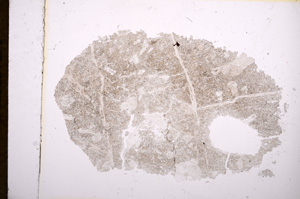 Plane Polarized, E5159