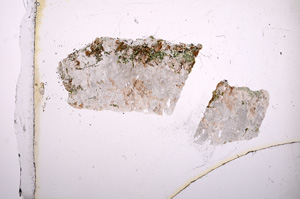 Plane Polarized, E5162