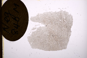 Plane Polarized, E5176