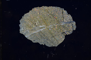 Cross Polarized, E5197