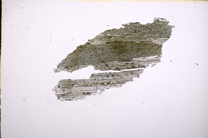 Plane Polarized, E5199