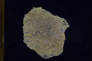 Cross Polarized, E5209
