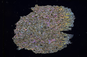 Cross Polarized, E5220