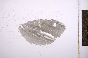 Plane Polarized, E5226