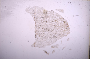Plane Polarized, E5241