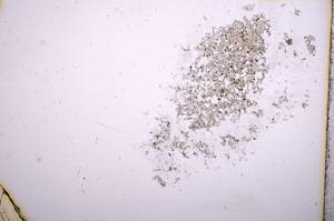 Plane Polarized, E5264