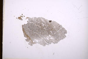 Plane Polarized, E5266