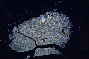 Cross Polarized, E5328