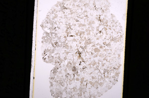 Plane Polarized, E5338