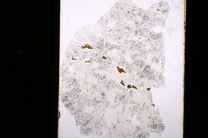 Plane Polarized, E5339