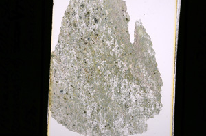 Plane Polarized, E5342