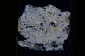 Cross Polarized, E5344