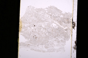 Plane Polarized, E5344