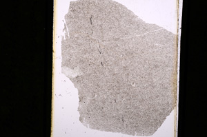 Plane Polarized, E5354