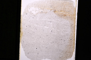Plane Polarized, E5355
