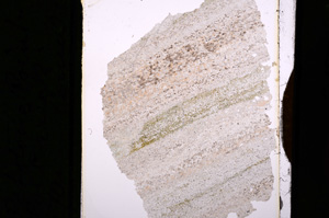 Plane Polarized, E5356