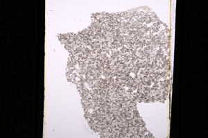 Plane Polarized, E5358