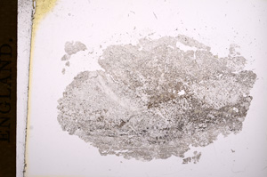 Plane Polarized, E5400