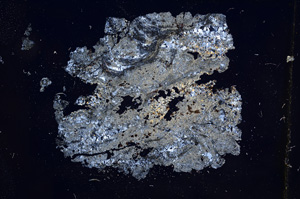 Cross Polarized, E5404