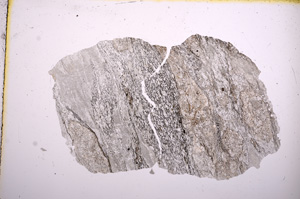 Plane Polarized, E5407