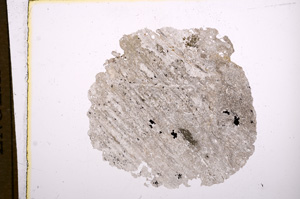 Plane Polarized, E5411