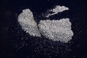 Cross Polarized, E5443