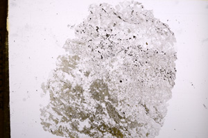 Plane Polarized, E5457