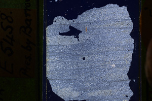 Cross Polarized, E5458A