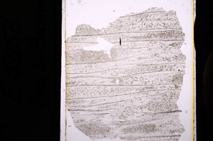 Plane Polarized, E5458A
