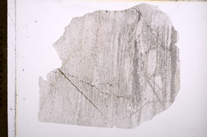 Plane Polarized, E5459