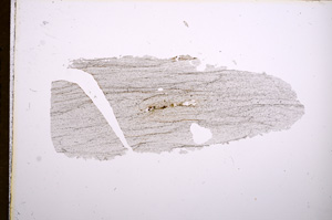 Plane Polarized, E5460