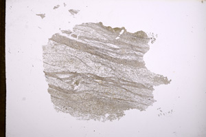 Plane Polarized, E5461