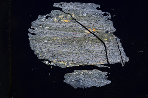Cross Polarized, E5462
