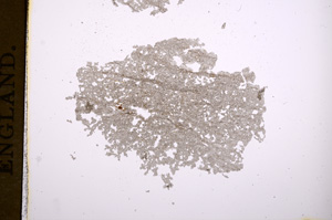 Plane Polarized, E5468