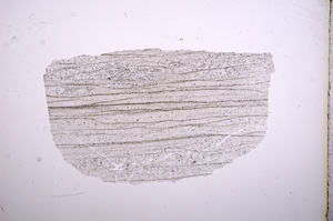Plane Polarized, E5475