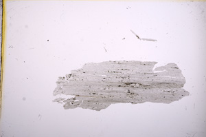 Plane Polarized, E5486