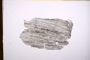 Plane Polarized, E5487