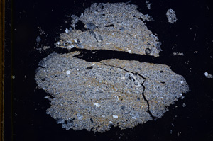 Cross Polarized, E5493