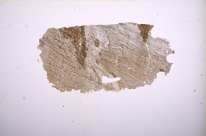 Plane Polarized, E5519