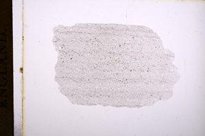 Plane Polarized, E5535