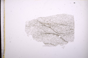 Plane Polarized, E5536